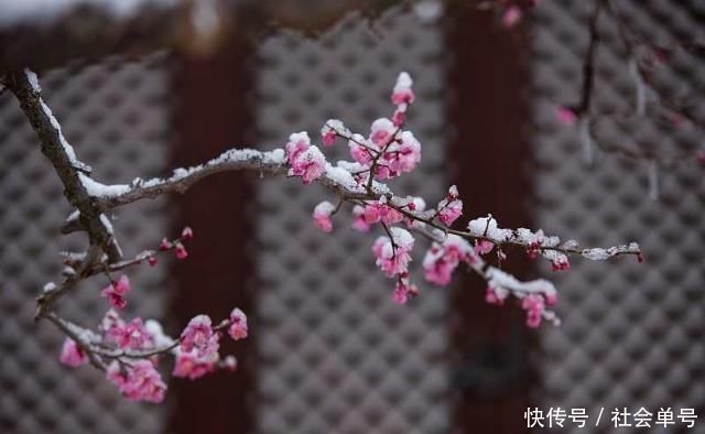 千古名言$陆游最经典的一首词,每一句都是千古名言,美得惊艳无人能出其右