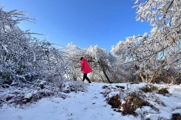 雪景|就在广元过年！这些春节旅游新玩法，给你安排得明明白白！