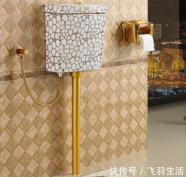 淋浴房|现在的年轻人装修房子,卫生间不再安装马桶,而是装它,干净多了