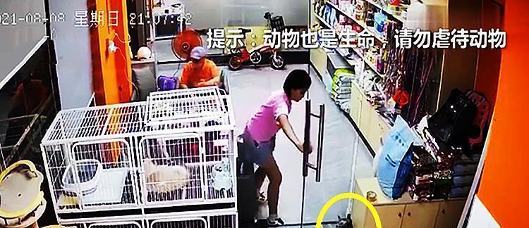 父母|男子扛38水出电梯,遭男孩恶意绊脚愤怒回踢:我不是你爸不会惯你