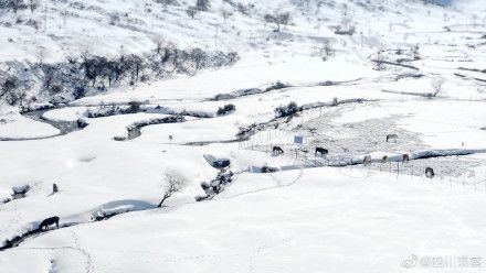 雪景|静谧如画！凉山雪景如绝美水墨画