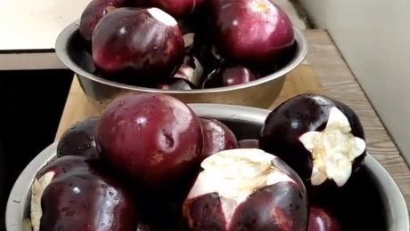 立秋后，遇到这菜多囤些，老方法放1年不坏，春节蒸包子炖肉特香