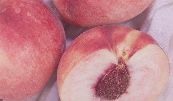 谨记|每天吃一个桃子好处多,但是吃桃子时,要谨记这4个禁忌