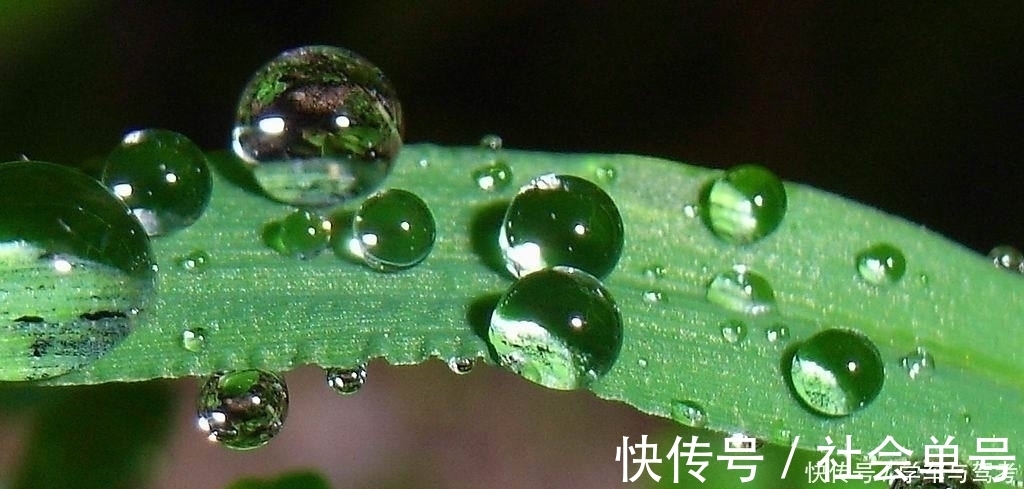 忧伤|李煜一首小词，写尽浮生过客的忧伤，令人不忍卒读，却惊艳了岁月