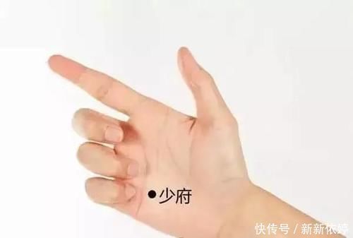 苦瓜|夏季养生要养心，4个穴位，5种食材，清心火，解热毒