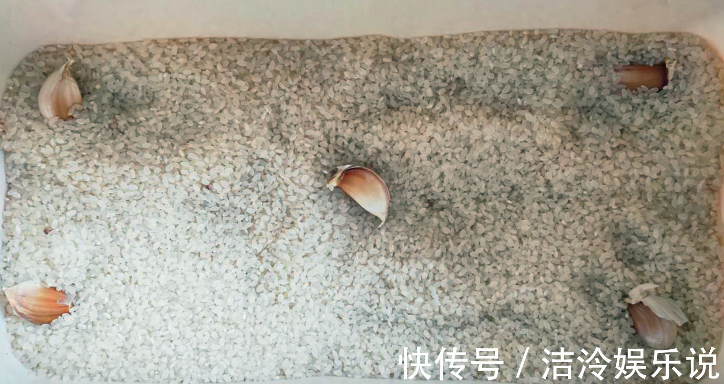 三人行必有我师焉|刚知道，保存大米竟这么简单！3个土方法，放1年不生虫不发霉