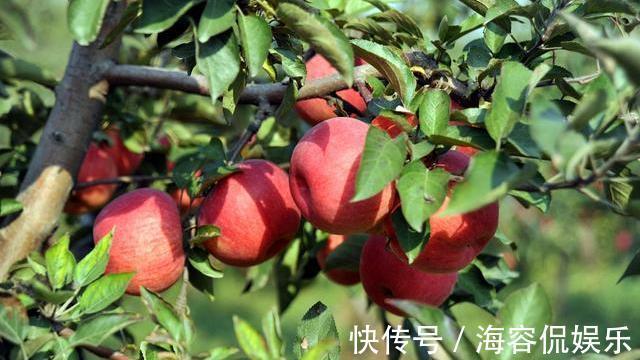 高血压|高血压要严格忌口少碰4物,遵循5原则,血压可能比较“乖”