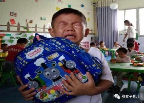 孩子被欺负,李玫瑾教授建议打回去,还不够,还要这样帮助孩子