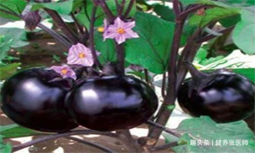 护肤|聪明女性都爱吃的果蔬,每天吃些,补血护肤,延缓衰老,好处多多