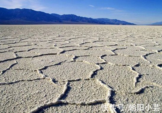 夢想改造家132萬紅磚房開始返堿！專家：只影響外觀，不影響質量