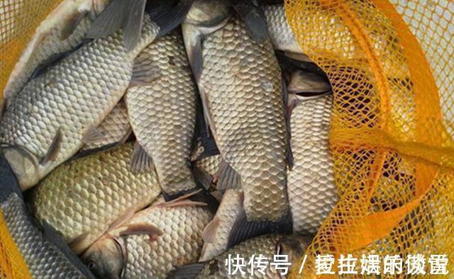 气温|野钓鲫鱼,不能钓底需要钓浮的几个时机,鱼层变化,钓法要跟着变