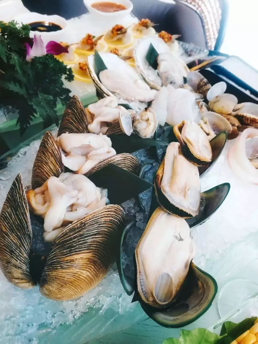 集渔|鲜活的海鲜,无限量的小吃,都能勾起吃货的馋虫