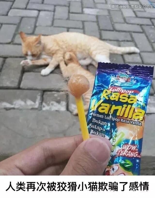 |今日笑话:妈妈要求很高啊