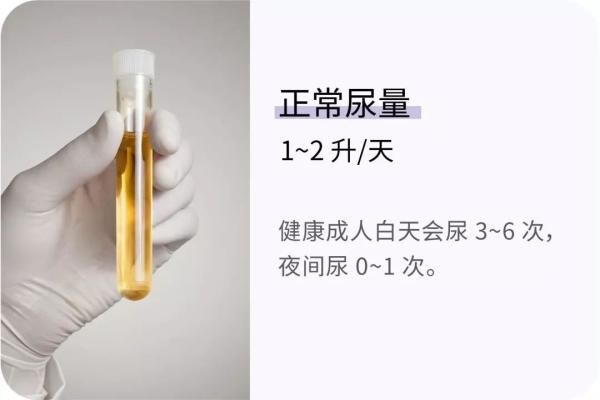 数字|胖不胖不能只看体重！这有22组数字，让你更了解身体状况