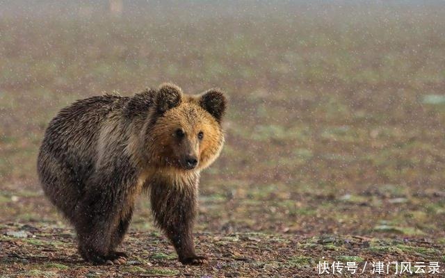 可可西里无人区到底有多可怕