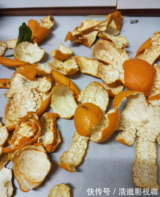 这些“垃圾”不要扔,用来养花“一级棒”,肥的流油,环保又省钱