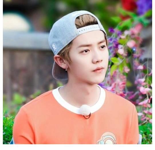 《恰好是少年》破66亿后,网友狂催第二季,原班人马是妄想?