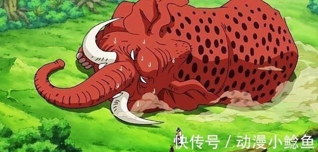 白胡子|海贼王:霸王色缠绕设定一出,才知道赤犬也怂红发的真正原因