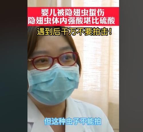 妈妈|两个月婴儿全身溃烂有脓,妈妈称家里不关窗,被“毒虫”趁虚而入