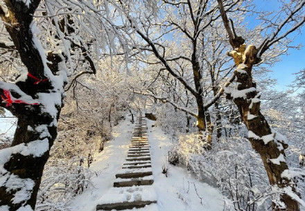 老年|全网点赞！秦岭雪景冲上热搜…未来几天这里或迎雨雪