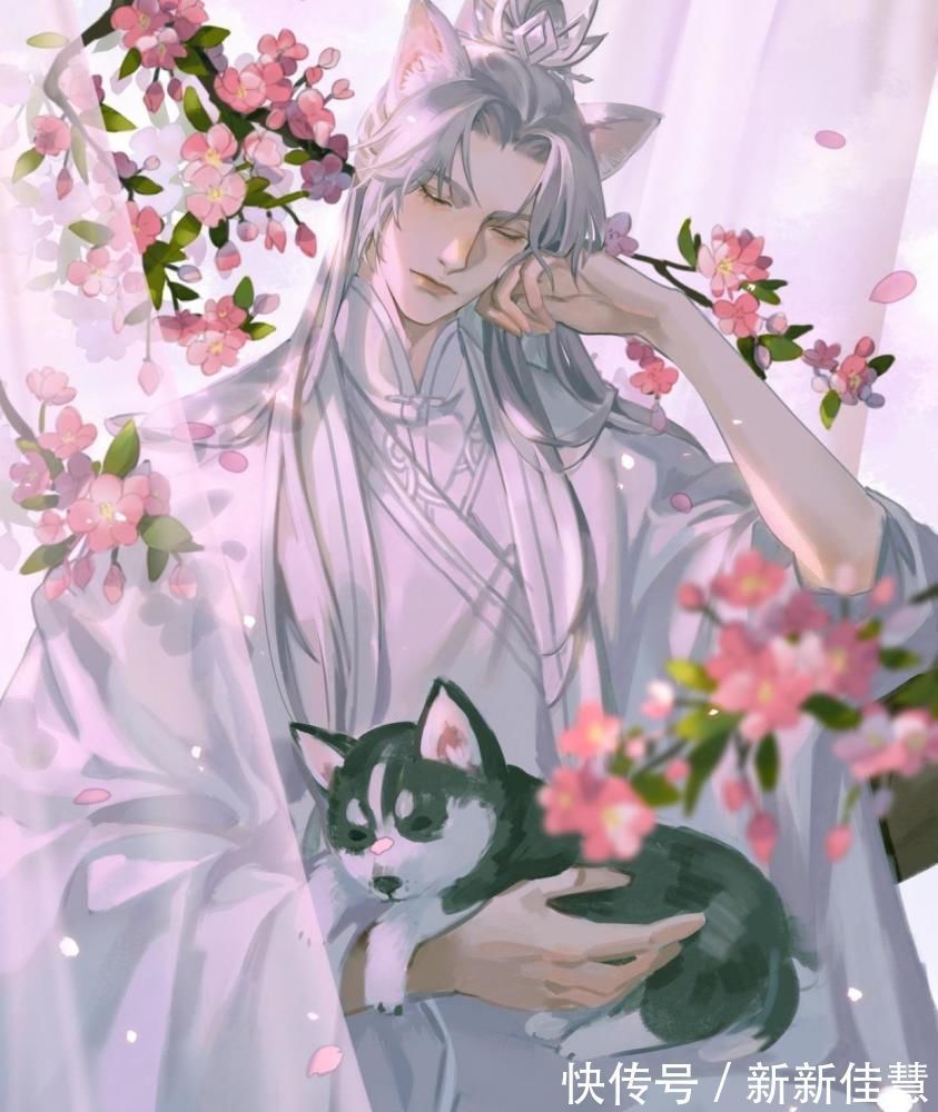 天地|喜欢甜文纯爱小说的你,应当了解一下二哈、一拜天地等作品