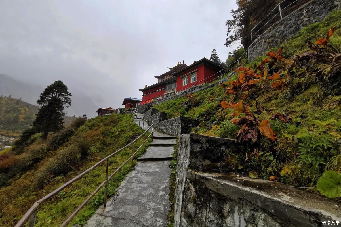 独自自驾游 欣赏最美的岗云杉林 体验环藏之旅的慢生活