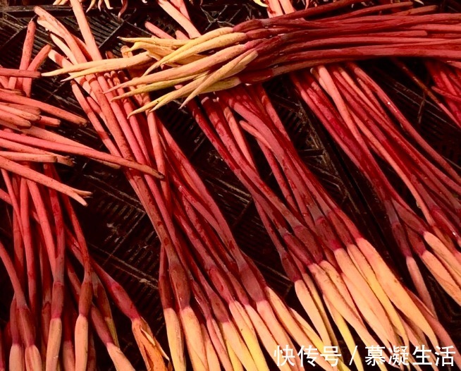 吃法|68种野菜图片，教你认识不同的野菜和吃法，你想要的野菜这里都有