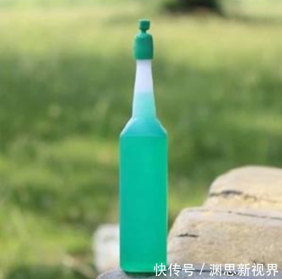 植株|小时候最爱吃的地瓜，养家里当盆栽，好看还能吃，快回家试一试