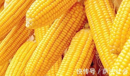 玉米|女性不想老太快,多吃点此物,清除体内毒素,脂肪也越来越少