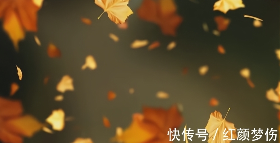 秋凉|秋入尽,萧萧目染霜,登高处,千年叹秋凉