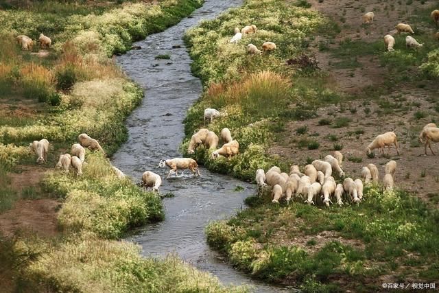 雪花|诗词:雪花扬，朔风吹，雁远航。塞门高卷处