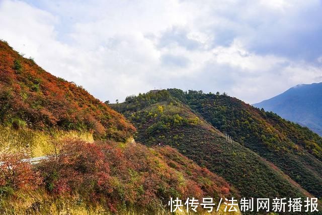 万山红遍|汉中略阳的秋天