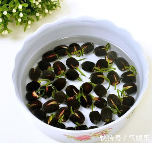 怪不得老公把发财树扔了,现阳台流行种此花卉,香飘满屋更迷人