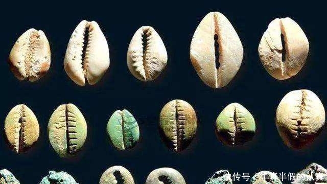  先秦|五花八门的先秦时期的货币