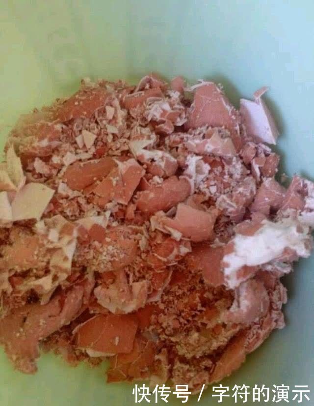 施肥|用这些不起眼的东西养花,根壮叶绿,半年都不用施肥