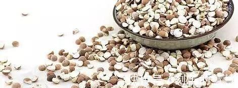 有利湿|湿气重的人的注意,3种食物可多吃,3种食物再喜欢还是尽量少吃