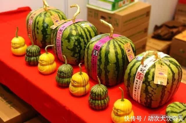 西瓜|各国对待西瓜的不同卖法,印度叫网友大开眼界,日本西瓜则吃不起