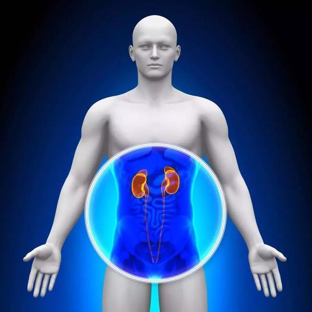 夜尿|睡觉时身体有4种表现，是肾在喊“救命”！不注意，会熬成尿毒症