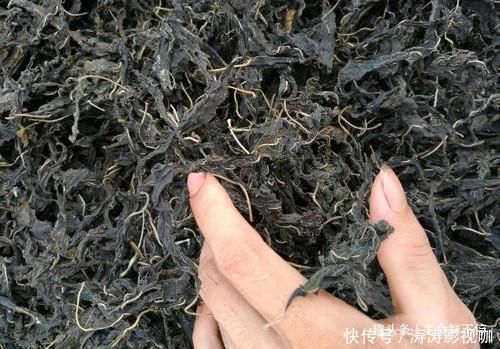 叶子|很多人都只吃种子,其实叶子才是宝贝,20一斤都供不应求