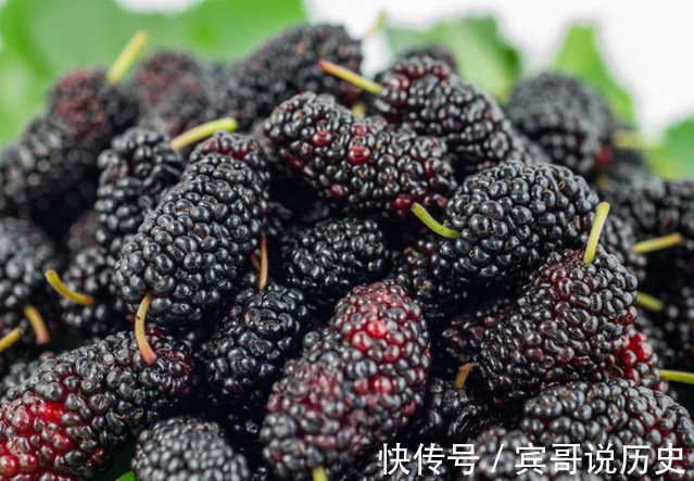 桑葚粥|子宫“最爱吃”的4种水果，尤其是第3种，坚持吃，子宫会感谢你