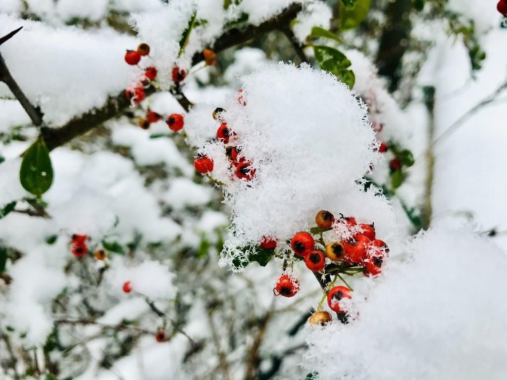 巫溪县文峰镇|巫溪：雪景美如画