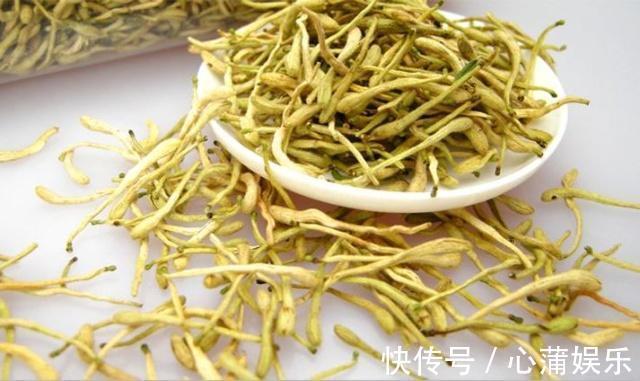黃芪|黃芪泡水喝有補氣的效果，適用所有人嗎，喝黃芪的禁忌也不能大意