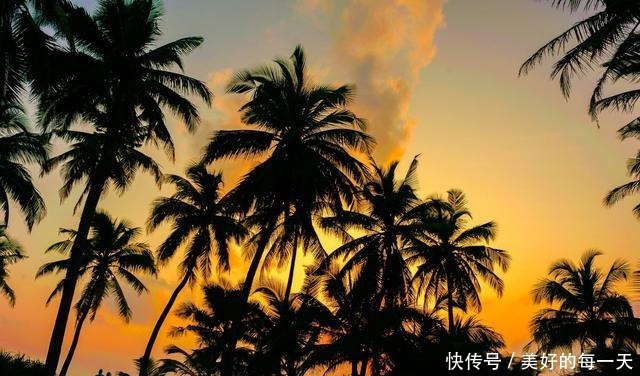 《传闻中的陈芊芊》真正的三公主能瞒过所有人,才是真正的城府