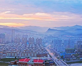 老年|2020，我们这样度过