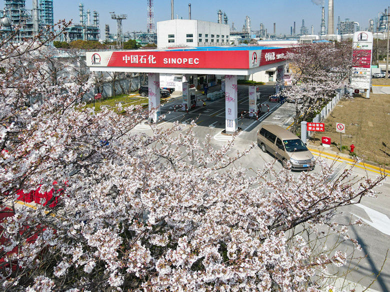 加油站|沪上又添一处赏樱打卡地，“樱韵悠享”主题加油站揭牌