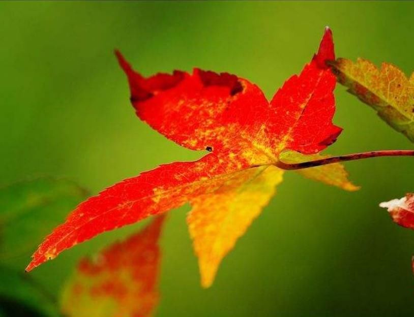 上坡路|一个人将要走“上坡路”的三个征兆,发现一个,也是喜事,恭喜了