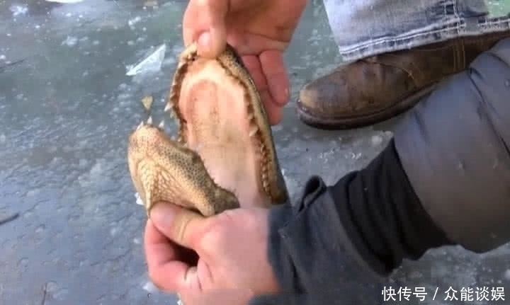 男子|湖面上冻着一只“皮鞋”,男子想一脚踢飞,仔细一盯笑坏了