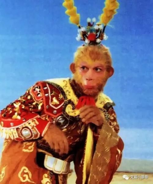 一事|他是家喻户晓的美猴王,拍戏吃苦敬业奋不顾身,一生做好一事足矣