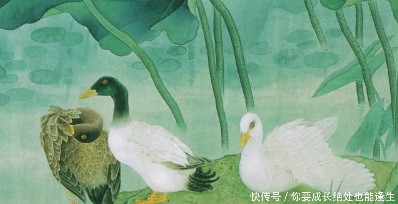 题写|元代才子画了一只鸭子,画不怎么出名,上面题写的诗却成为了经典