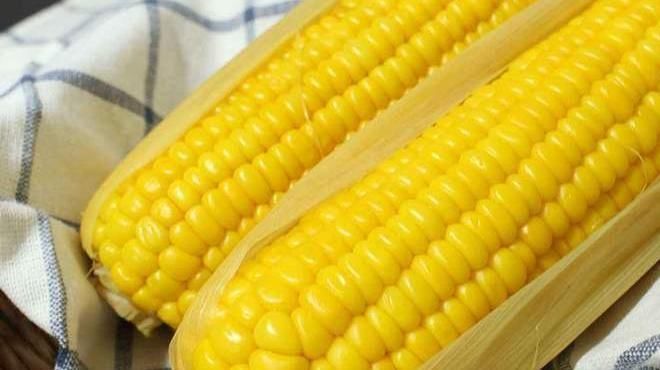 玉米|女人患上子宫肌瘤，想要养好子宫消肌瘤，饮食上做到“4吃4不吃”